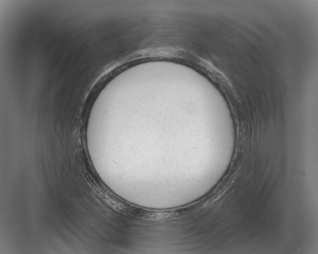 X0000082161166200702162227