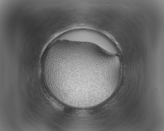 X0000082161167200702162227