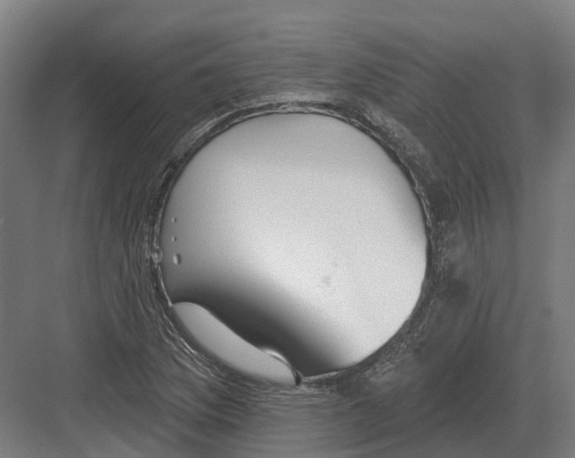 X0000082161169200702162227