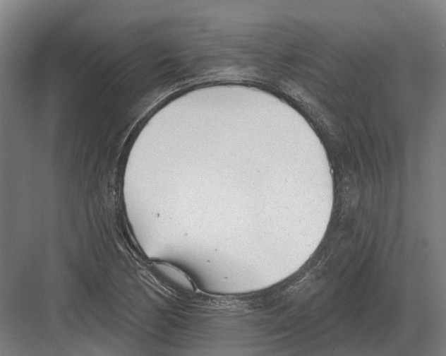 X0000082161170200702162227