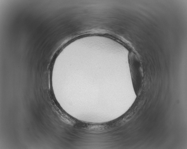 X0000082161171200702162227