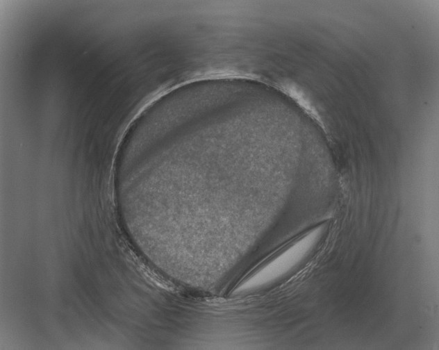 X0000082161173200702162227