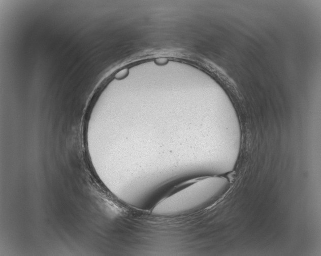 X0000082161174200702162227