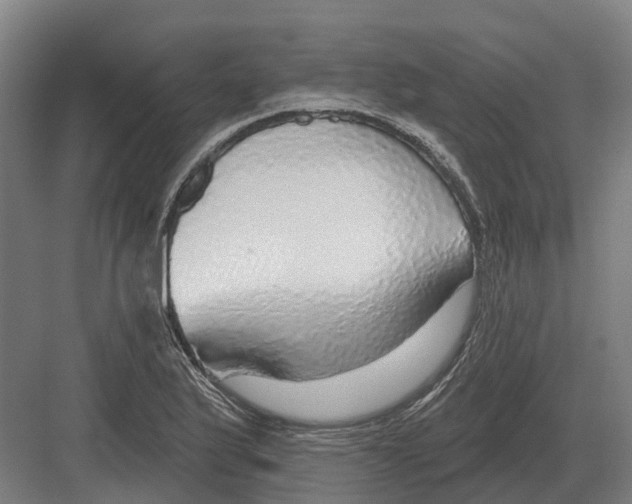 X0000082161175200702162227