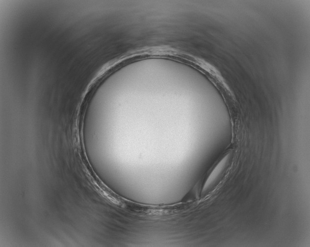 X0000082161176200702162227