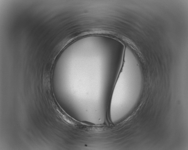 X0000082161177200702162227