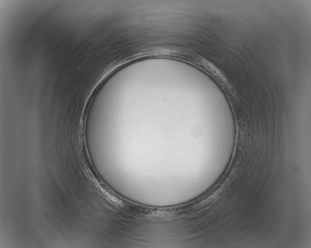 X0000082161178200702162226