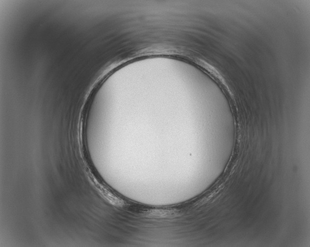 X0000082161179200702162226