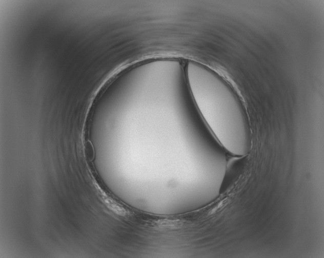 X0000082161181200702162226