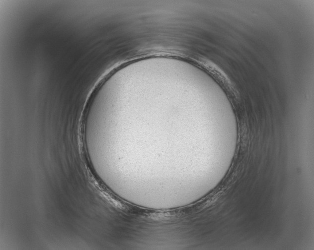 X0000082161182200702162226