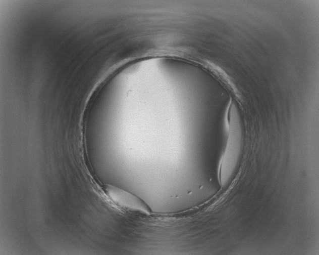 X0000082161184200702162226