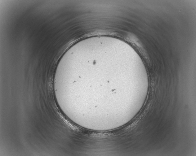 X0000082161185200702162226