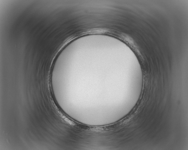 X0000082161186200702162226