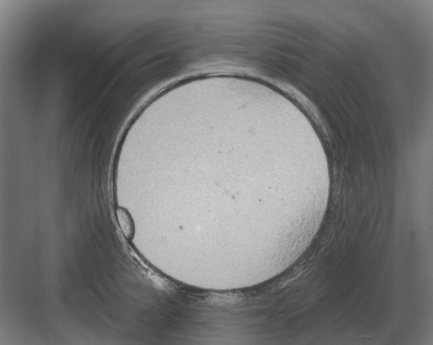 X0000082161191200702162226