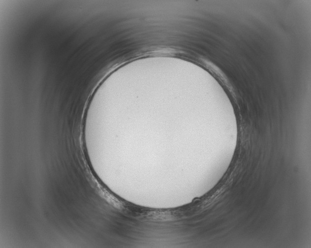 X0000082161194200702162226