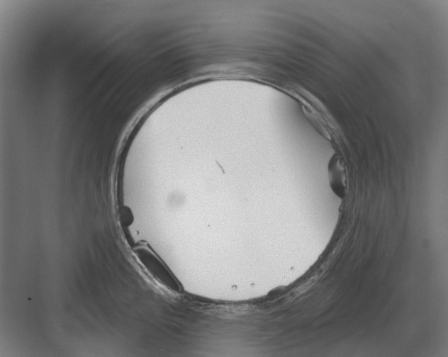 X0000082161196200702162226