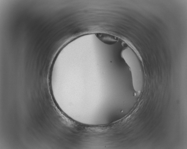 X0000082161197200702162226