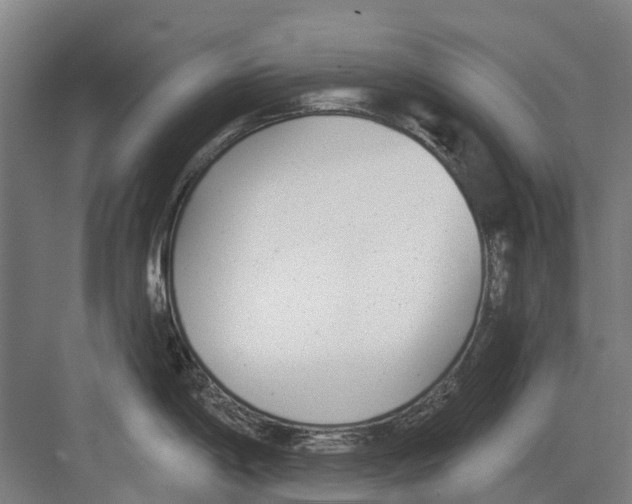 X0000082161198200702162226