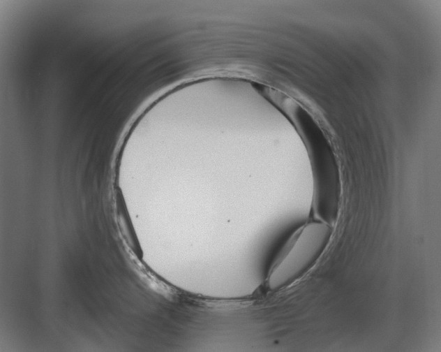 X0000082161200200702162226