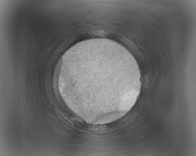 X0000082161201200702162225