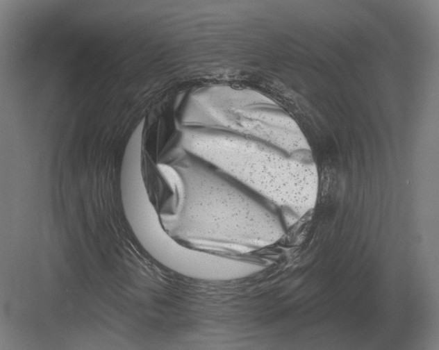 X0000082161202200702162225