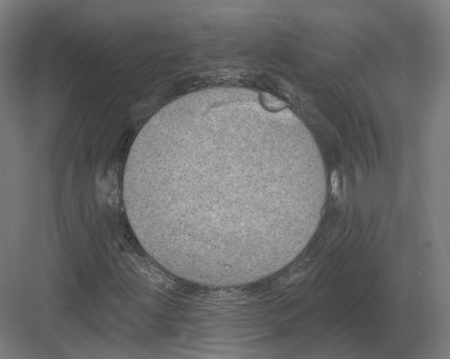 X0000082161203200702162225