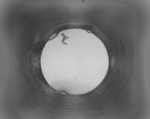 X0000082161204200702162225