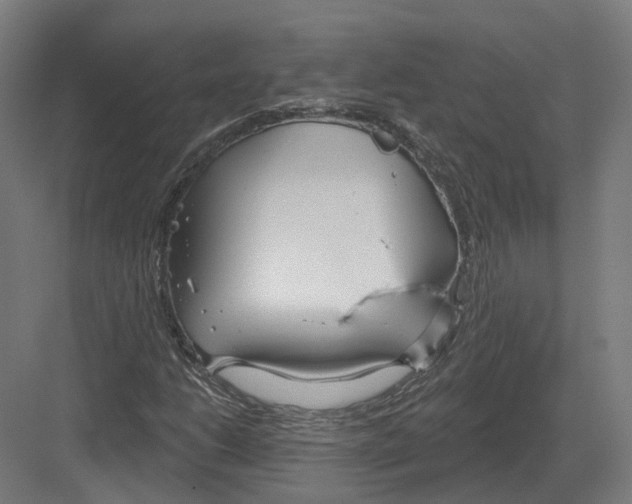 X0000082161206200702162225