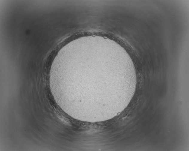 X0000082161207200702162225