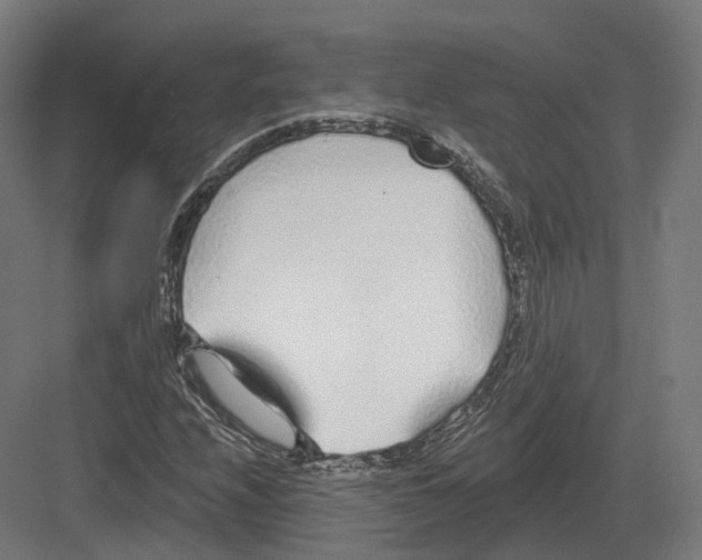 X0000082161208200702162225