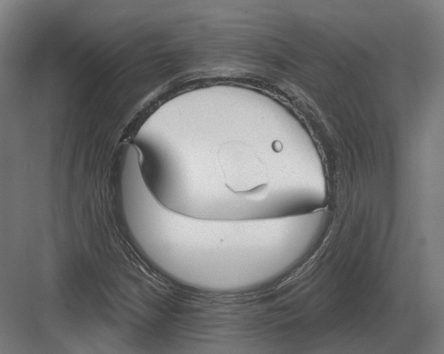 X0000082161210200702162225