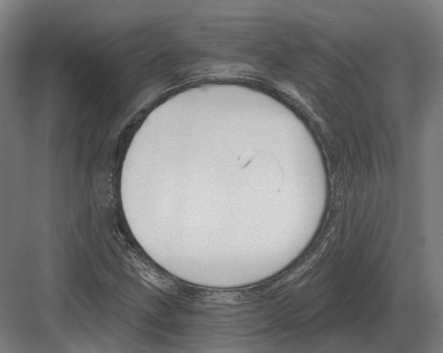 X0000082161211200702162225