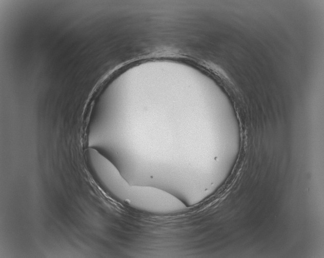 X0000082161212200702162226