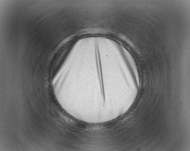 X0000082161213200702162226