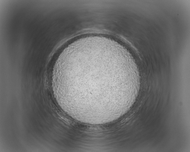 X0000082161215200702162226