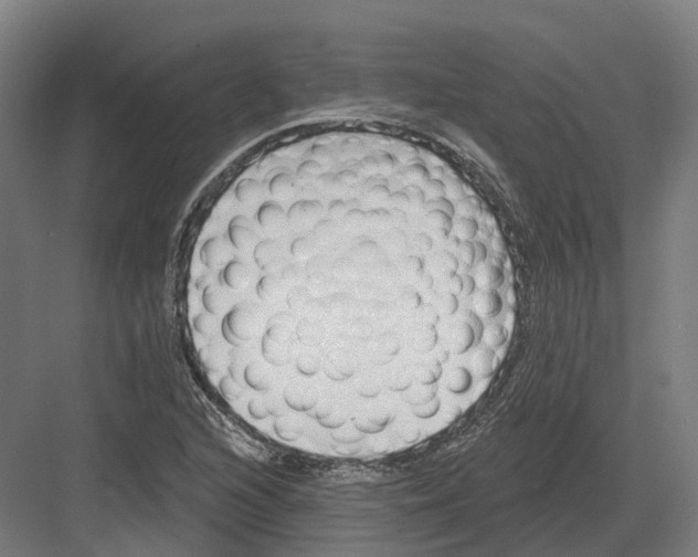 X0000082161216200702162226