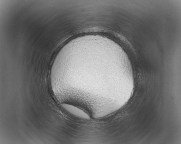 X0000082161217200702162226