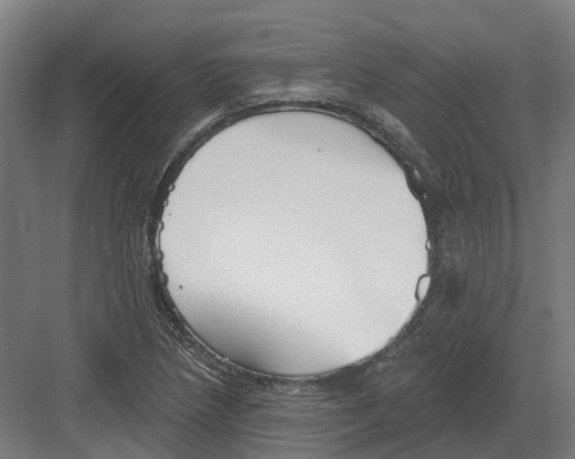 X0000082161218200702162226