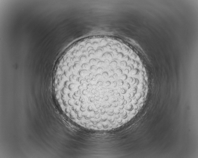 X0000082161220200702162226