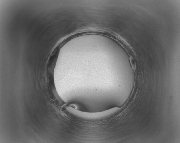 X0000082161222200702162226