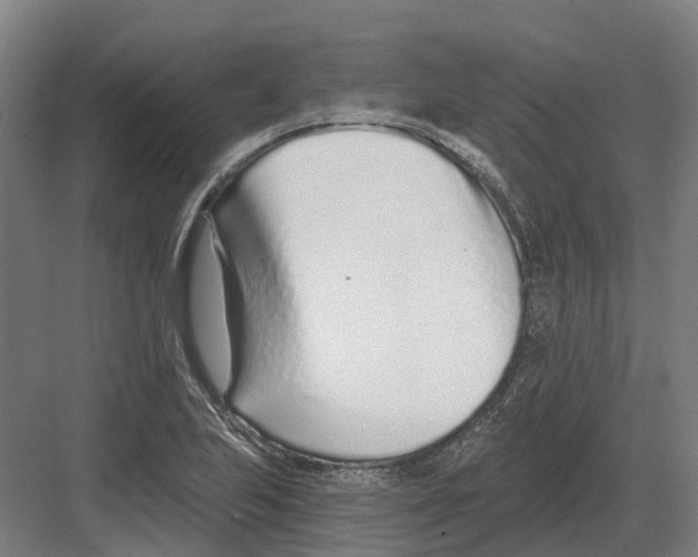 X0000082161223200702162226