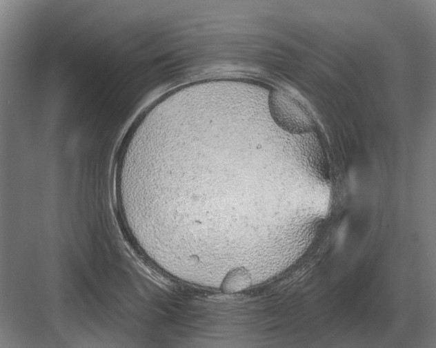 X0000082161227200702162226