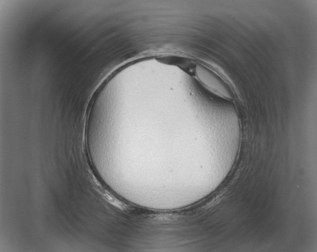 X0000082161228200702162226