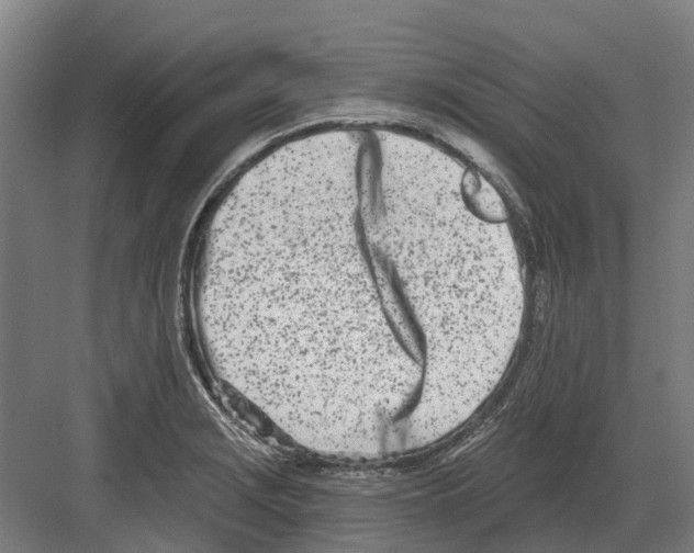 X0000082161229200702162226