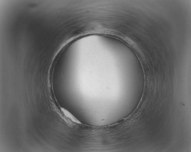 X0000082161230200702162226