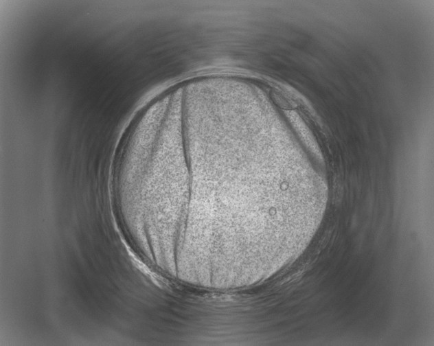 X0000082161231200702162226