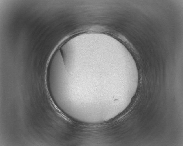 X0000082161232200702162226