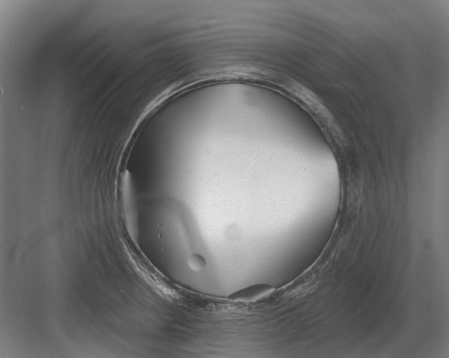 X0000082161234200702162226