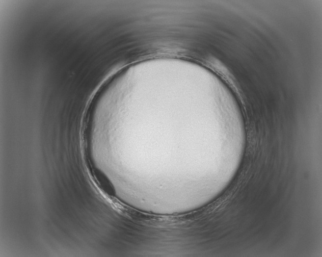 X0000082161235200702162226