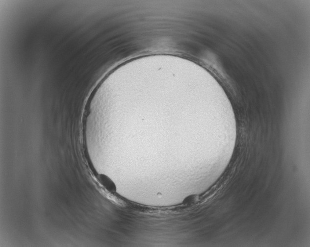 X0000082161236200702162226